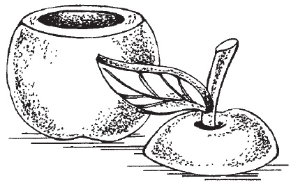 Иллюстрация к книге — Поделки для мальчиков [i_099.jpg]