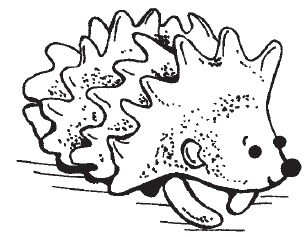 Иллюстрация к книге — Поделки для мальчиков [i_122.jpg]