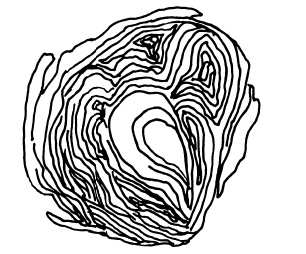 Иллюстрация к книге — Овощи и зелень. Огород на моем подоконнике [i_019.jpg]