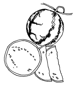 Иллюстрация к книге — Овощи и зелень. Огород на моем подоконнике [i_052.jpg]