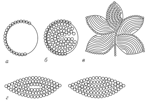 Иллюстрация к книге — Бисер. Энциклопедия вышивки [i_015.jpg]