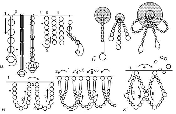 Иллюстрация к книге — Бисер. Энциклопедия вышивки [i_021.jpg]