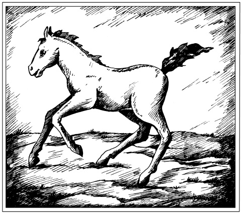 Иллюстрация к книге — Бисер. Энциклопедия вышивки [i_098.jpg]