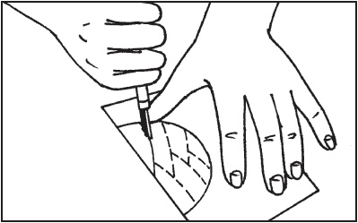 Иллюстрация к книге — Витражи своими руками [i_050.jpg]