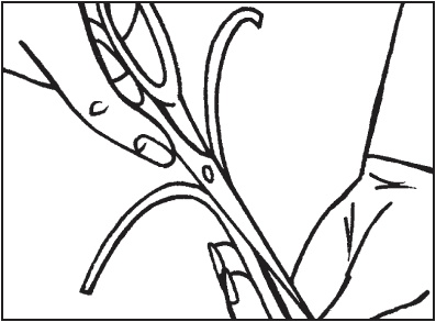 Иллюстрация к книге — Витражи своими руками [i_069.jpg]