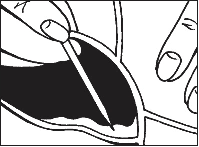 Иллюстрация к книге — Витражи своими руками [i_075.jpg]