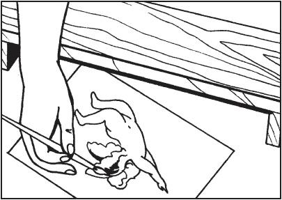 Иллюстрация к книге — Витражи своими руками [i_094.jpg]