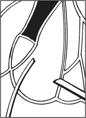 Иллюстрация к книге — Витражи своими руками [i_104.jpg]