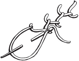 Иллюстрация к книге — Вышивка ришелье [i_006.jpg]