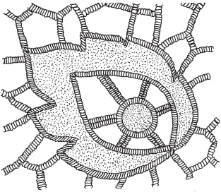 Иллюстрация к книге — Вышивка ришелье [i_013.jpg]