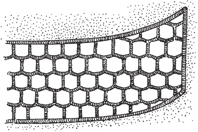 Иллюстрация к книге — Вышивка ришелье [i_020.jpg]