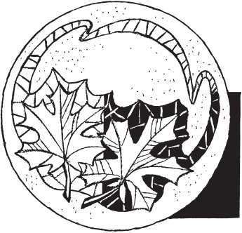 Иллюстрация к книге — Вышивка ришелье [i_036.jpg]