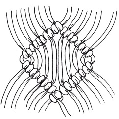 Иллюстрация к книге — Макраме для начинающих. Лучшие и оригинальные модели [i_054.jpg]