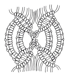 Иллюстрация к книге — Макраме для начинающих. Лучшие и оригинальные модели [i_059.jpg]