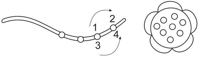 Иллюстрация к книге — Белая гладь. Русские традиции [i_018.jpg]