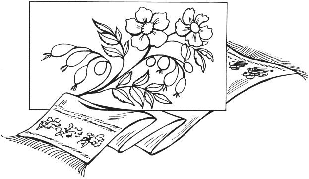 Иллюстрация к книге — Белая гладь. Русские традиции [i_073.jpg]