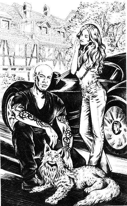 Иллюстрация к книге — Укрощение строптивой... ведьмы [i_001.jpg]