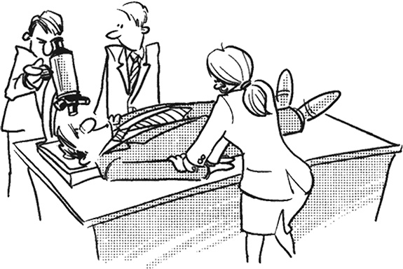 Иллюстрация к книге — Научись управлять своим боссом за 7 дней [i_003.jpg]