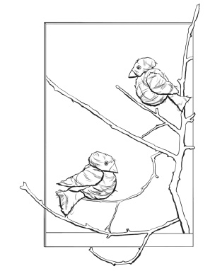 Иллюстрация к книге — Оригинальные подарки своими руками [i_055.jpg]