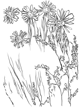 Иллюстрация к книге — Оригинальные подарки своими руками [i_058.jpg]