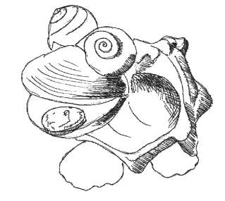 Иллюстрация к книге — Оригинальные подарки своими руками [i_062.jpg]