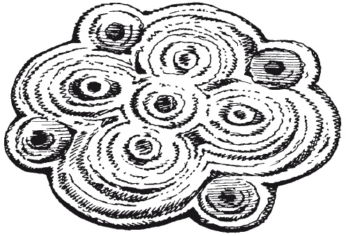 Иллюстрация к книге — Чудесные коврики своими руками [i_054.jpg]