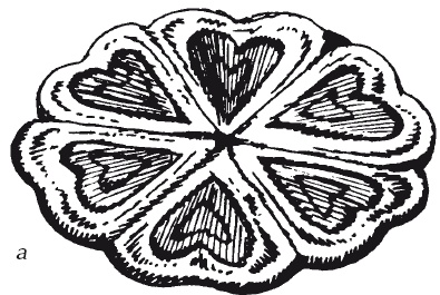 Иллюстрация к книге — Чудесные коврики своими руками [i_055.jpg]