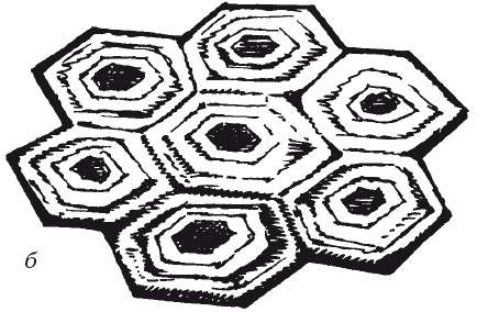 Иллюстрация к книге — Чудесные коврики своими руками [i_056.jpg]