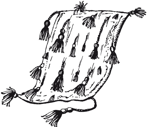 Иллюстрация к книге — Чудесные коврики своими руками [i_057.jpg]