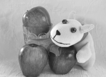 Иллюстрация к книге — Игрушки из носков [i_005.jpg]