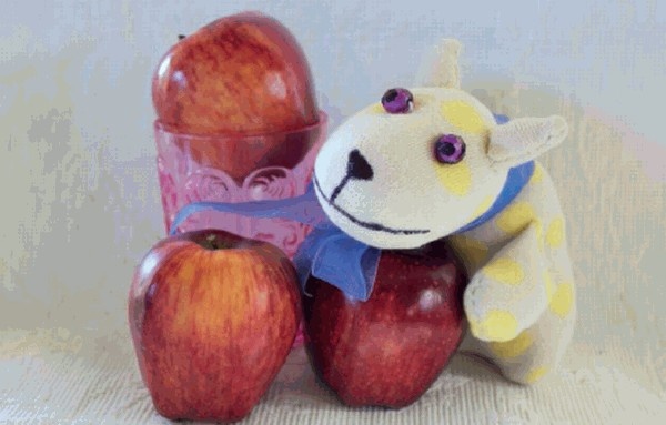 Иллюстрация к книге — Игрушки из носков [i_014.jpg]