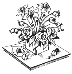 Иллюстрация к книге — Букеты из конфет [i_004.jpg]