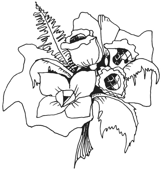 Иллюстрация к книге — Букеты из конфет [i_018.jpg]