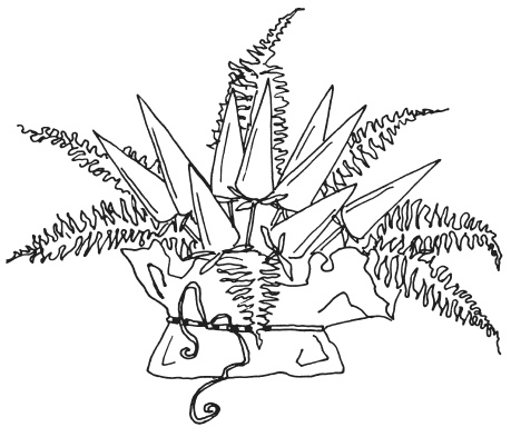 Иллюстрация к книге — Букеты из конфет [i_027.jpg]