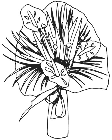 Иллюстрация к книге — Букеты из конфет [i_029.jpg]