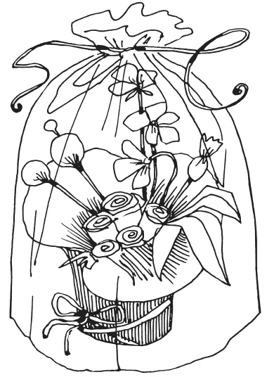 Иллюстрация к книге — Букеты из конфет [i_035.jpg]