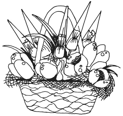 Иллюстрация к книге — Букеты из конфет [i_038.jpg]