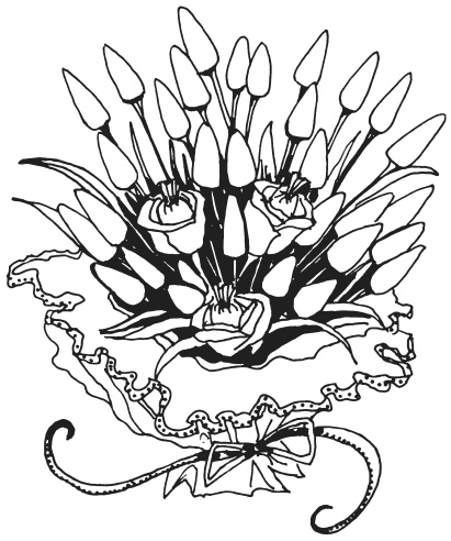 Иллюстрация к книге — Букеты из конфет [i_046.jpg]