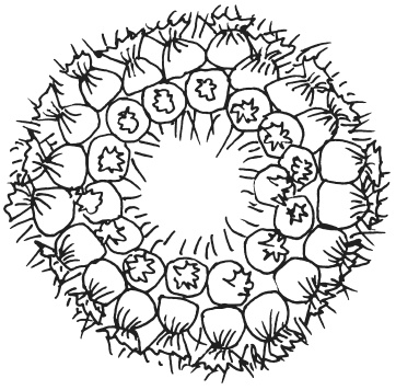 Иллюстрация к книге — Букеты из конфет [i_075.jpg]