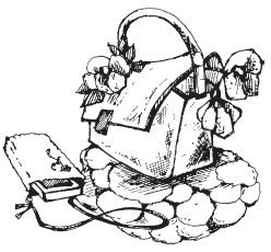 Иллюстрация к книге — Фелтинг. Удивительные поделки из свалянной шерсти [i_004.jpg]