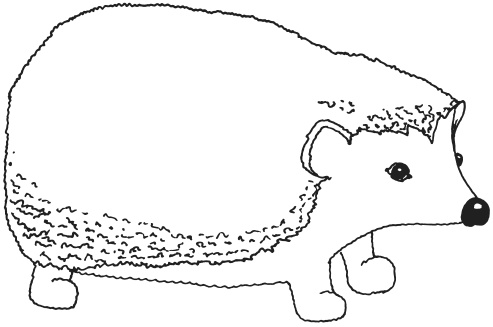 Иллюстрация к книге — Фелтинг. Удивительные поделки из свалянной шерсти [i_008.jpg]