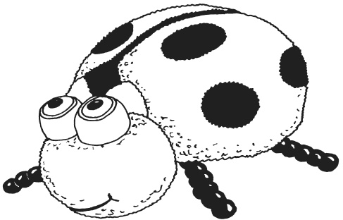 Иллюстрация к книге — Фелтинг. Удивительные поделки из свалянной шерсти [i_018.jpg]