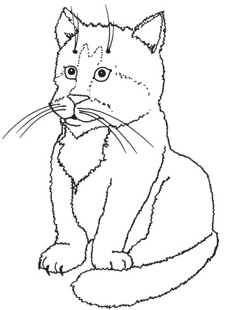 Иллюстрация к книге — Фелтинг. Удивительные поделки из свалянной шерсти [i_020.jpg]