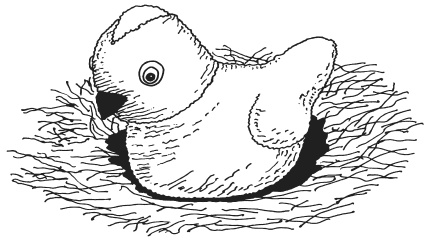 Иллюстрация к книге — Фелтинг. Удивительные поделки из свалянной шерсти [i_031.jpg]