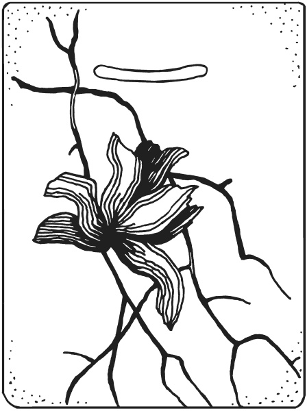 Иллюстрация к книге — Фелтинг. Удивительные поделки из свалянной шерсти [i_036.jpg]