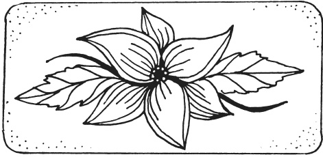 Иллюстрация к книге — Фелтинг. Удивительные поделки из свалянной шерсти [i_037.jpg]