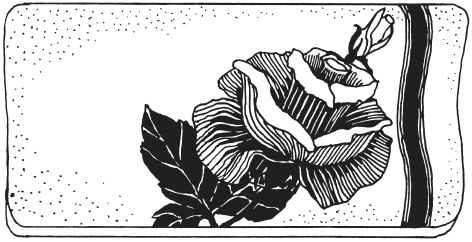 Иллюстрация к книге — Фелтинг. Удивительные поделки из свалянной шерсти [i_039.jpg]