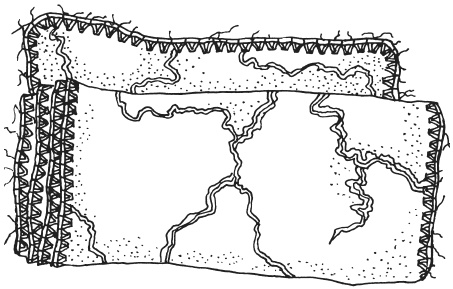 Иллюстрация к книге — Фелтинг. Удивительные поделки из свалянной шерсти [i_043.jpg]