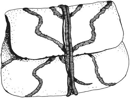 Иллюстрация к книге — Фелтинг. Удивительные поделки из свалянной шерсти [i_047.jpg]
