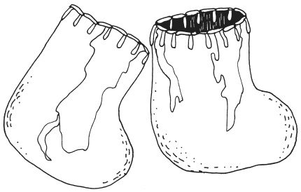 Иллюстрация к книге — Фелтинг. Удивительные поделки из свалянной шерсти [i_051.jpg]